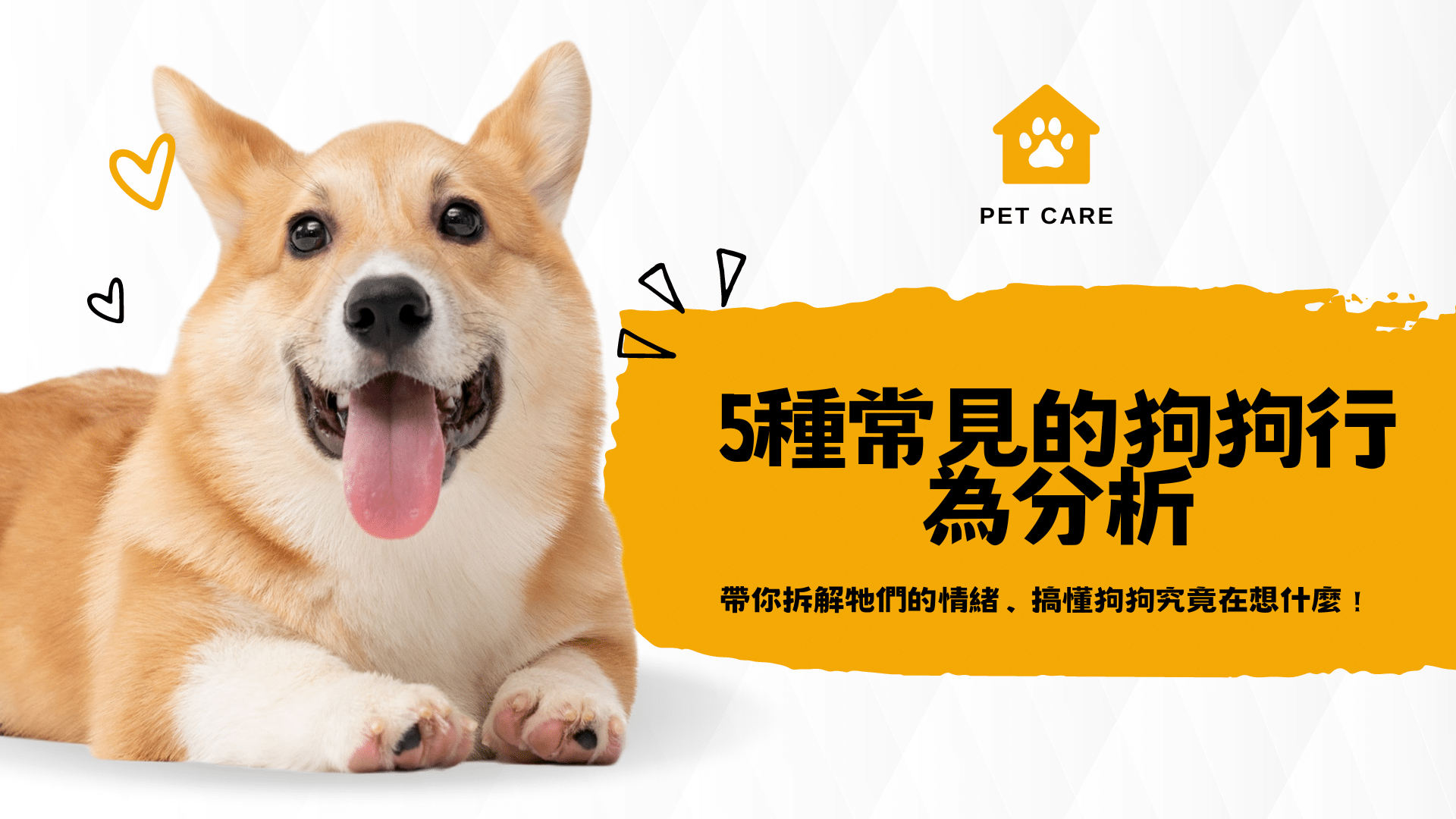 5種常見的狗狗行為分析 – 拆解狗狗的情緒、搞懂狗狗究竟在想什麼！