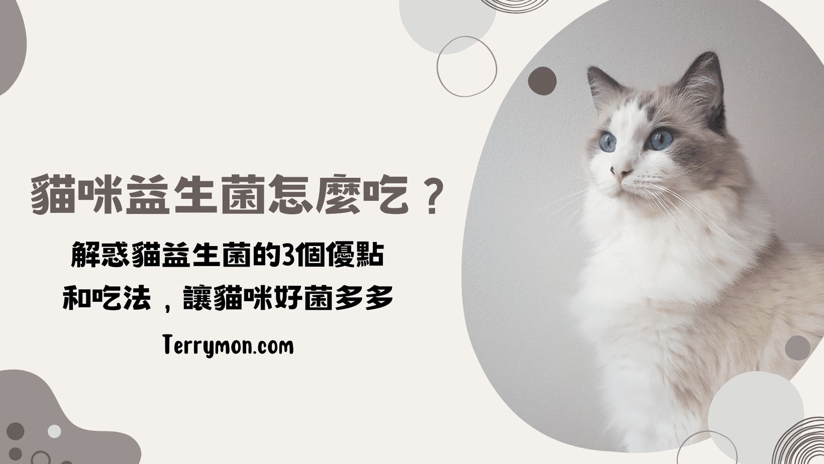 貓咪益生菌怎麼吃？解惑貓益生菌的3個優點和吃法！
