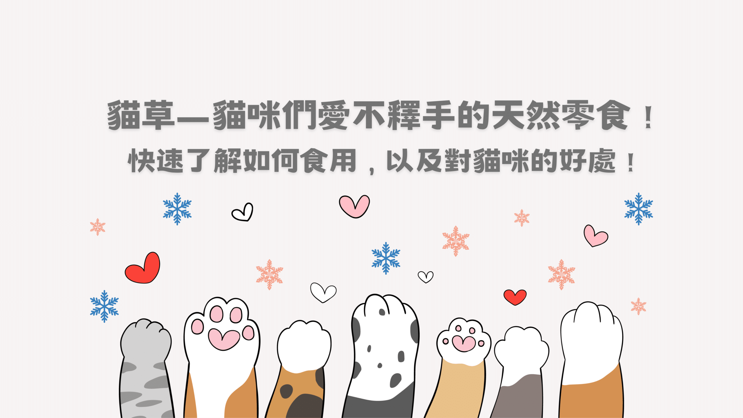 貓草 – 貓咪們愛不釋手的天然零食！快速了解如何食用及好處！