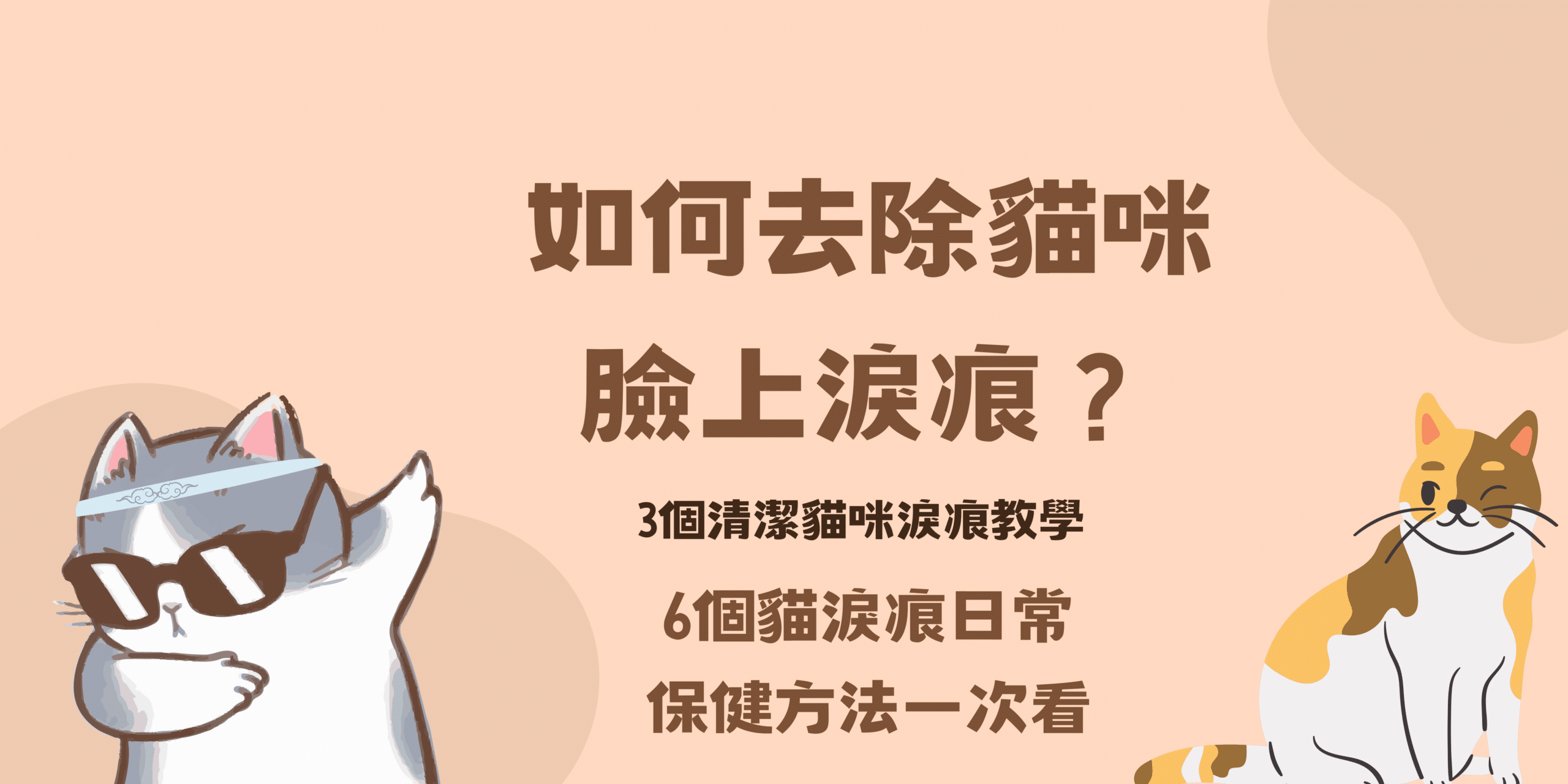 如何去除貓咪臉上淚痕？3個清潔貓咪淚痕教學、6個貓淚痕日常保健方法一次看！