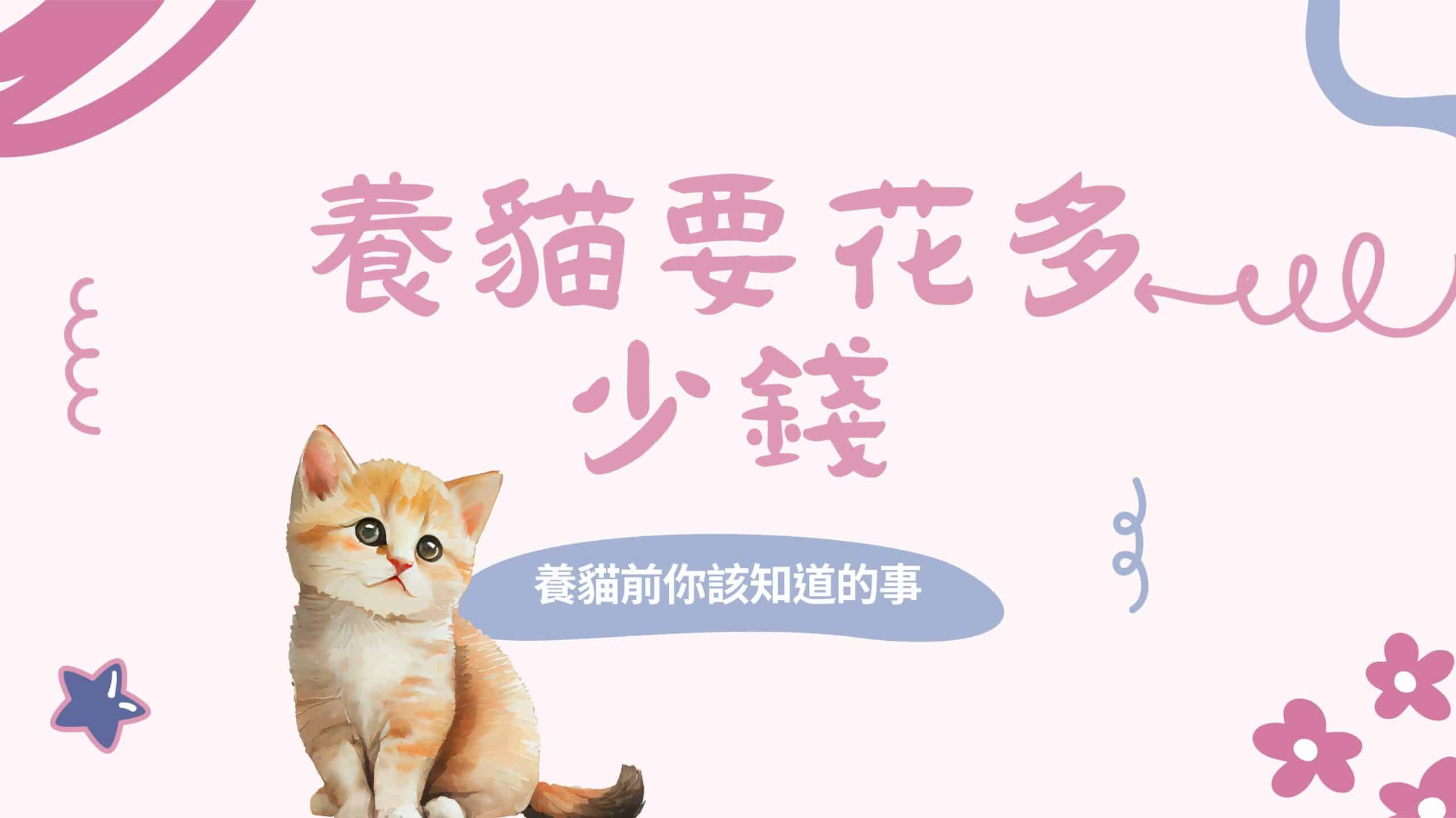 貓咪風潮｜想養貓咪，但養貓咪的花費要怎麼抓呢？