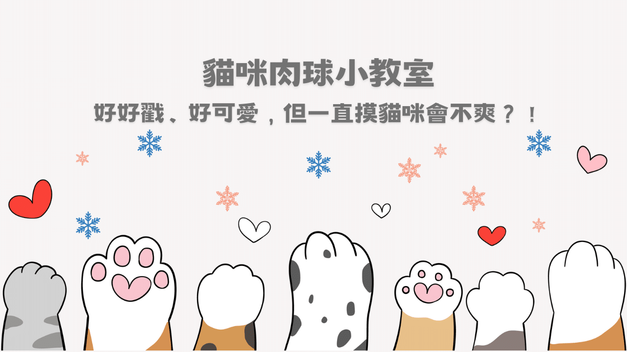 貓咪肉球小教室：好好戳、好可愛，但一直摸貓咪會不爽？！