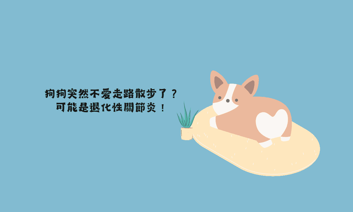 狗狗突然不愛走路散步了？可能是退化性關節炎！