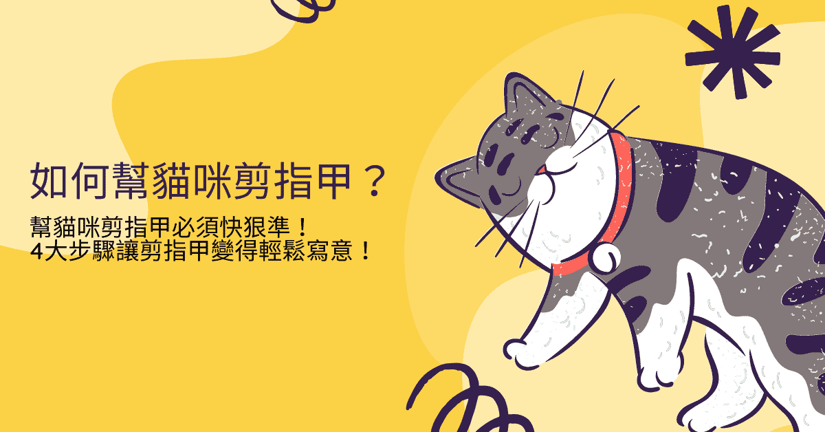 幫貓咪剪指甲必須快狠準！4大步驟讓剪指甲變得輕鬆寫意！